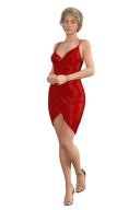 Silk Dress (red)